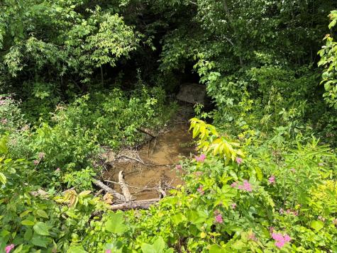 155 Acre Hemlock Ridge Subd Turtletown TN 37391