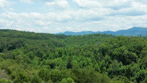 155 Acre Hemlock Ridge Subd Turtletown TN 37391