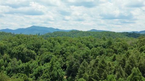 155 Acre Hemlock Ridge Subd Turtletown TN 37391