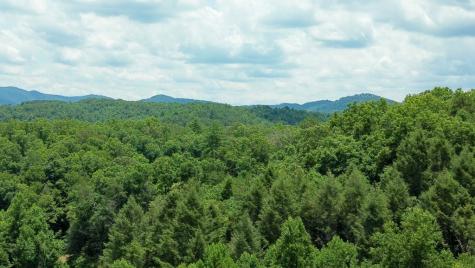 155 Acre Hemlock Ridge Subd Turtletown TN 37391