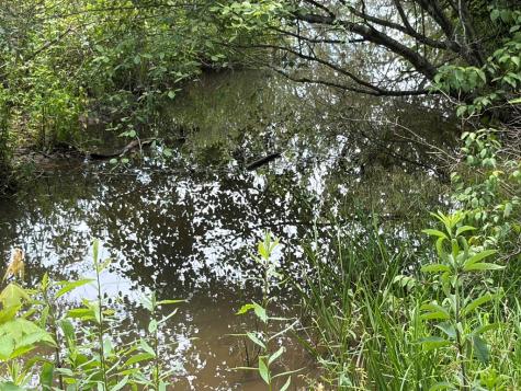 155 Acre Hemlock Ridge Subd Turtletown TN 37391