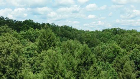 155 Acre Hemlock Ridge Subd Turtletown TN 37391