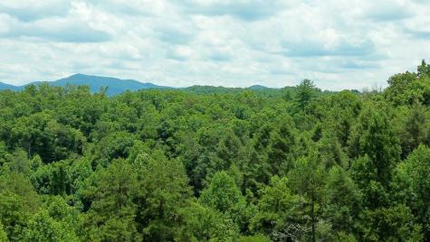 155 Acre Hemlock Ridge Subd Turtletown TN 37391