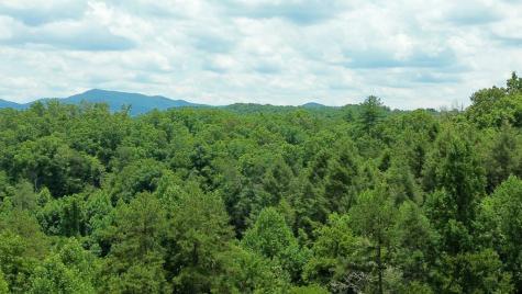 155 Acre Hemlock Ridge Subd Turtletown TN 37391