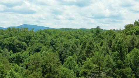 155 Acre Hemlock Ridge Subd Turtletown TN 37391