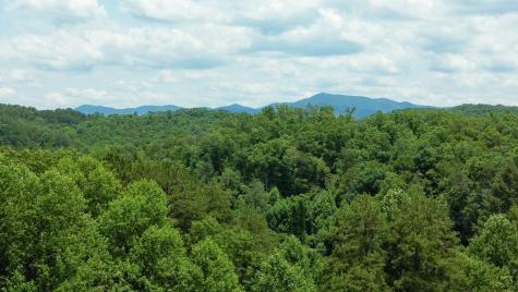 155 Acre Hemlock Ridge Subd Turtletown TN 37391