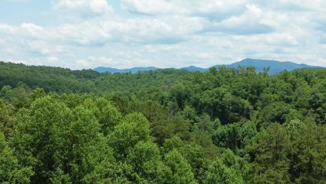 155 Acre Hemlock Ridge Subd Turtletown TN 37391