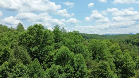 155 Acre Hemlock Ridge Subd Turtletown TN 37391