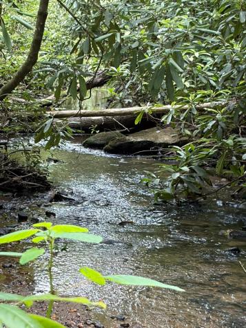155 Acre Hemlock Ridge Subd Turtletown TN 37391
