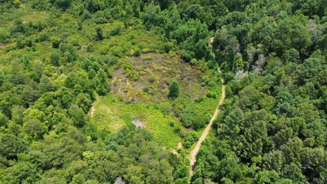 155 Acre Hemlock Ridge Subd Turtletown TN 37391