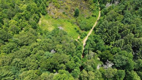 155 Acre Hemlock Ridge Subd Turtletown TN 37391
