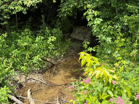 155 Acre Hemlock Ridge Subd Turtletown TN 37391