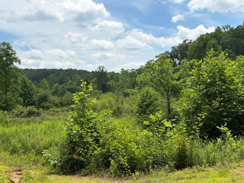 155 Acre Hemlock Ridge Subd Turtletown TN 37391