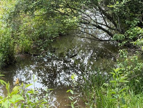 155 Acre Hemlock Ridge Subd Turtletown TN 37391