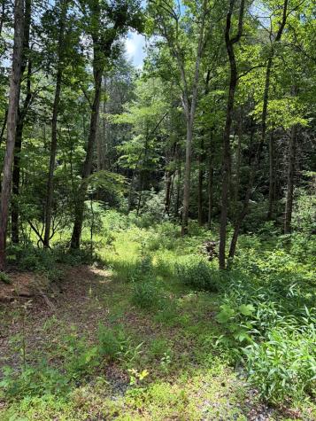 155 Acre Hemlock Ridge Subd Turtletown TN 37391