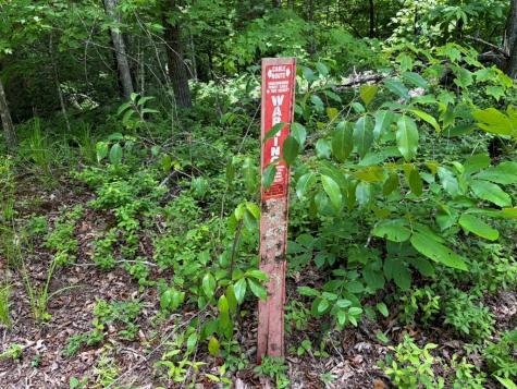 155 Acre Hemlock Ridge Subd Turtletown TN 37391