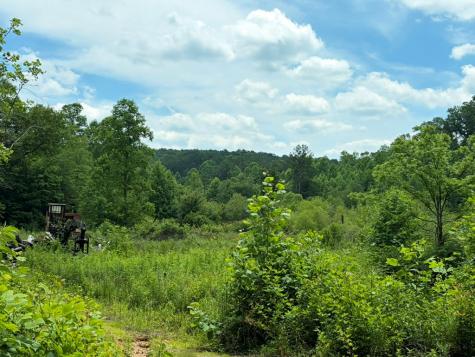 155 Acre Hemlock Ridge Subd Turtletown TN 37391