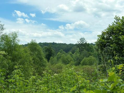 155 Acre Hemlock Ridge Subd Turtletown TN 37391