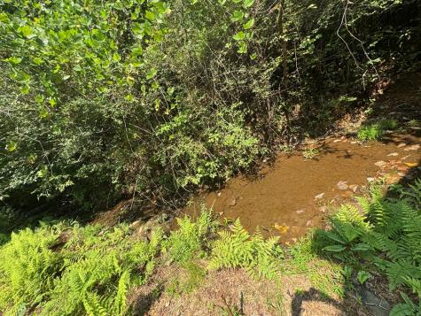 81 Doxol Street Blue Ridge GA 30513