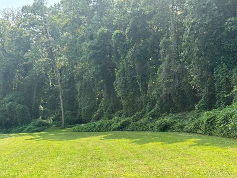 81 Doxol Street Blue Ridge GA 30513