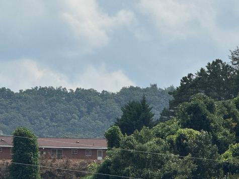 81 Doxol Street Blue Ridge GA 30513