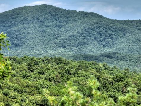 Lot 337 Tunica Lane Ellijay GA 30540