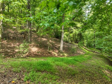 Lot 337 Tunica Lane Ellijay GA 30540