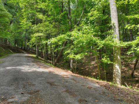 Lot 337 Tunica Lane Ellijay GA 30540