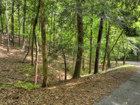 Lot 337 Tunica Lane Ellijay GA 30540