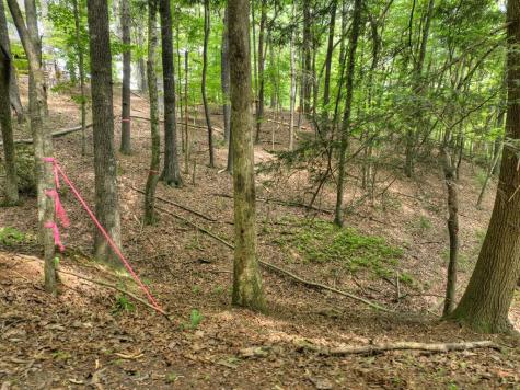 Lot 337 Tunica Lane Ellijay GA 30540