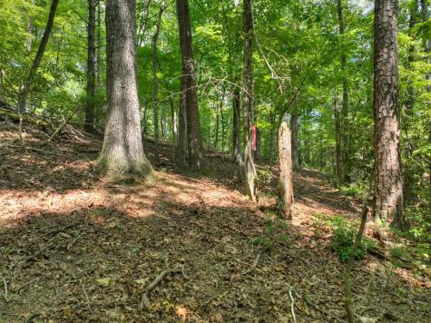 Lot 337 Tunica Lane Ellijay GA 30540