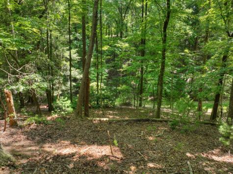 Lot 337 Tunica Lane Ellijay GA 30540