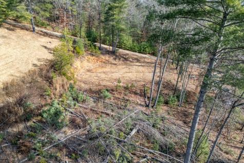0.83 Ac Atkins Trail Blairsville GA 30512