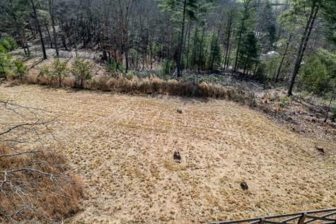 0.83 Ac Atkins Trail Blairsville GA 30512