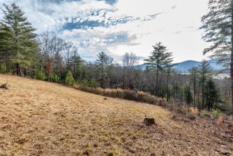 0.83 Ac Atkins Trail Blairsville GA 30512