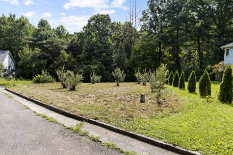 Lot 9 Oakwood Court Blue Ridge GA 30513