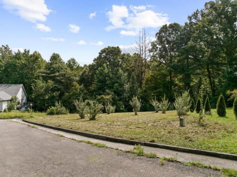 Lot 9 Oakwood Court Blue Ridge GA 30513