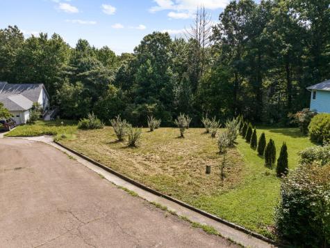 Lot 9 Oakwood Court Blue Ridge GA 30513