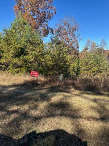 08 Courtney Lane Lot 8 Blairsville GA 30512
