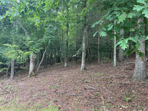 Lt 14 Fiddlers Cove Blairsville GA 30512