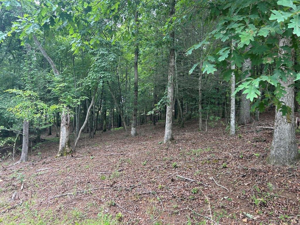 Lt 14 Fiddlers Cove Blairsville GA 30512