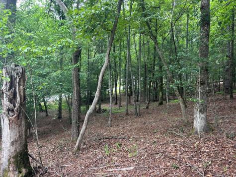 Lt 14 Fiddlers Cove Blairsville GA 30512