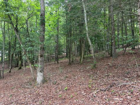 Lt 14 Fiddlers Cove Blairsville GA 30512