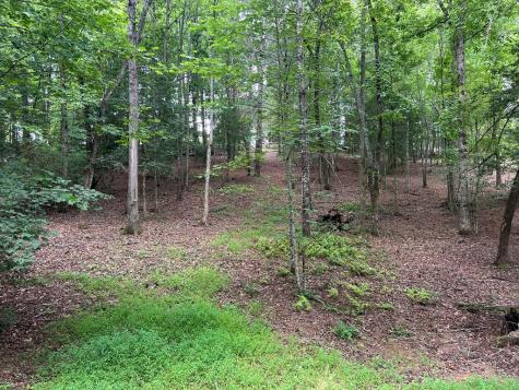 Lt 14 Fiddlers Cove Blairsville GA 30512