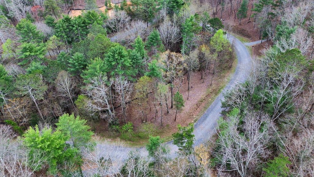Lot 108 Red Oak Trail Ellijay GA 30540