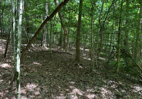 Lot 108 Red Oak Trail Ellijay GA 30540