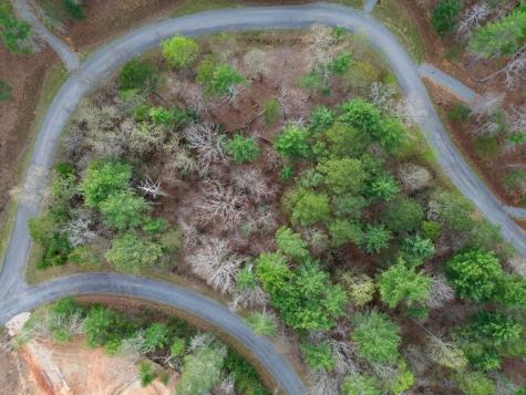 Lot 108 Red Oak Trail Ellijay GA 30540