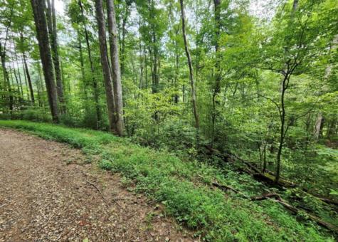 2A Poplar Cove Suches GA 30572