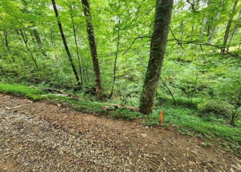 2A Poplar Cove Suches GA 30572
