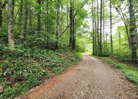 2A Poplar Cove Suches GA 30572